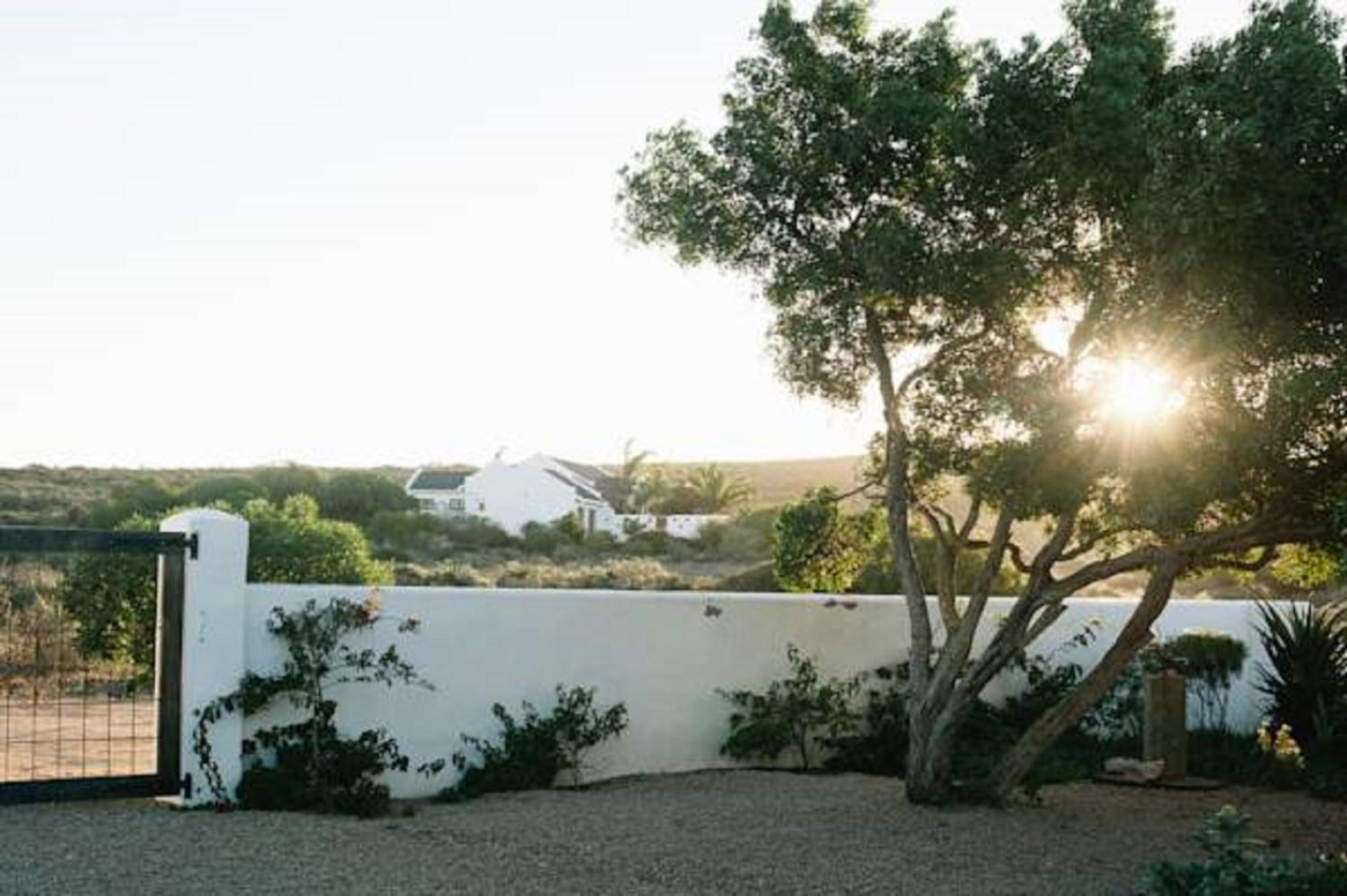 Gelukkie Paternoster Quarto foto